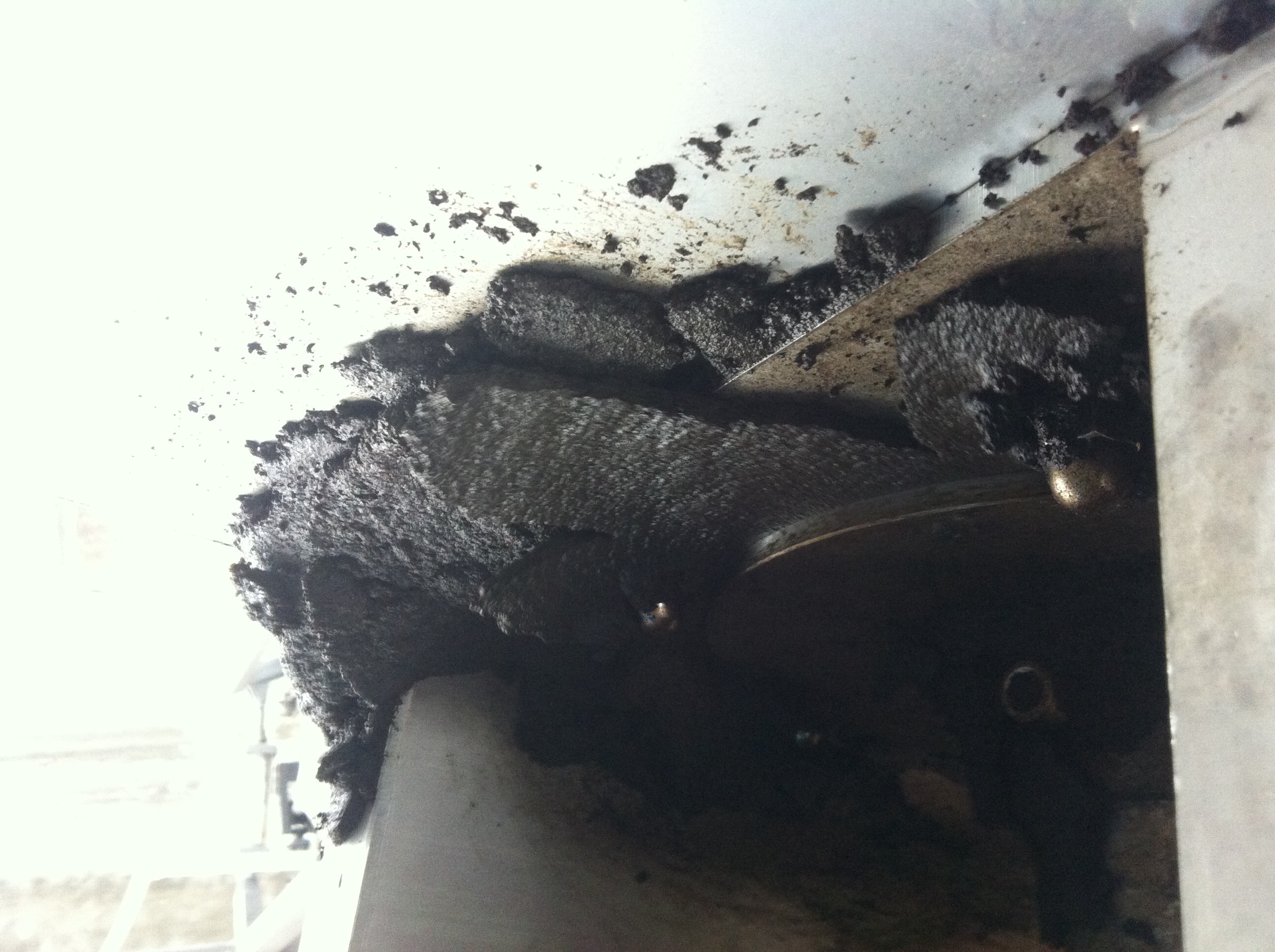 成都迪奥植化-运行中的泥饼3