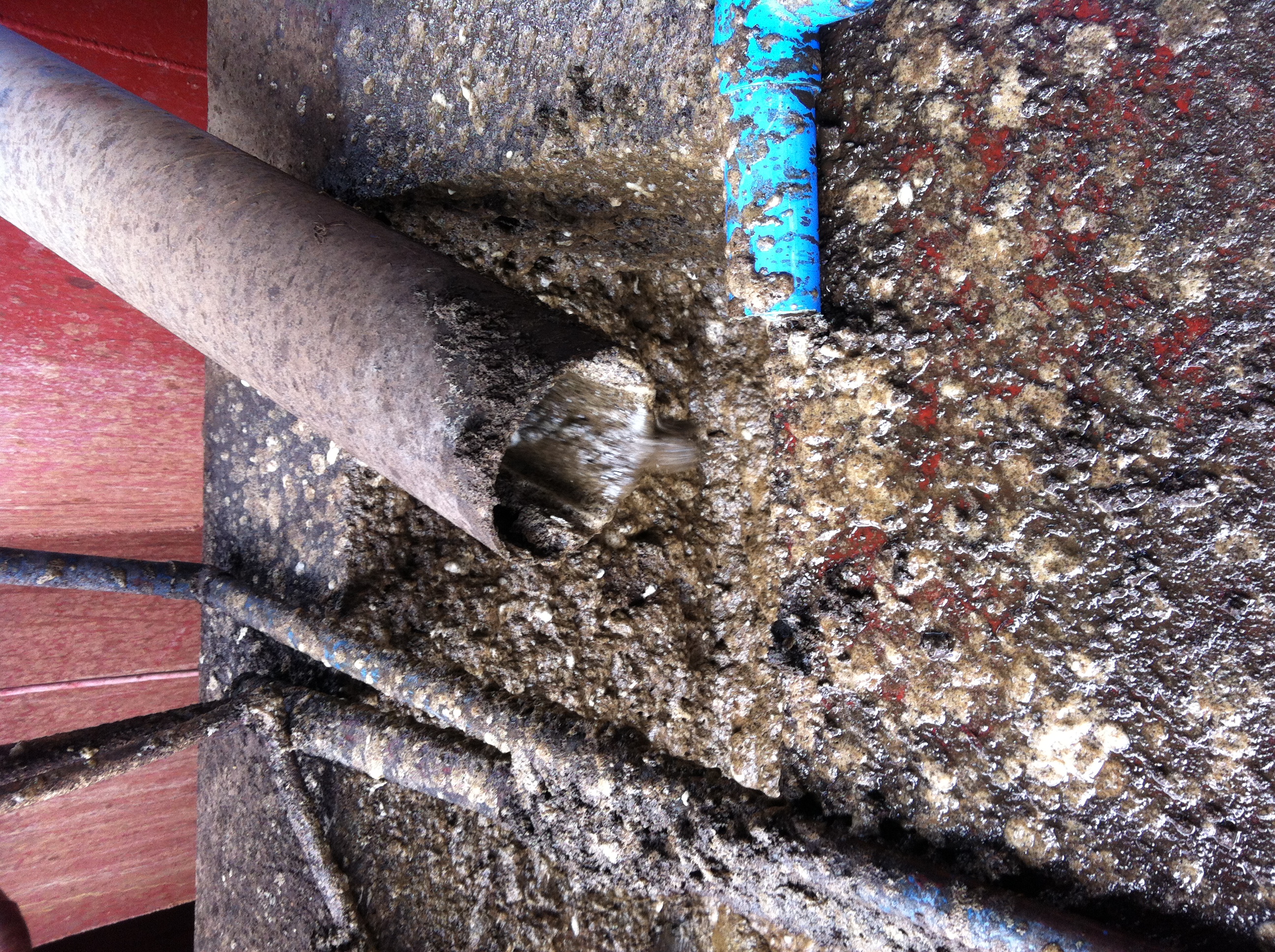 成都迪奥植化-污泥池2