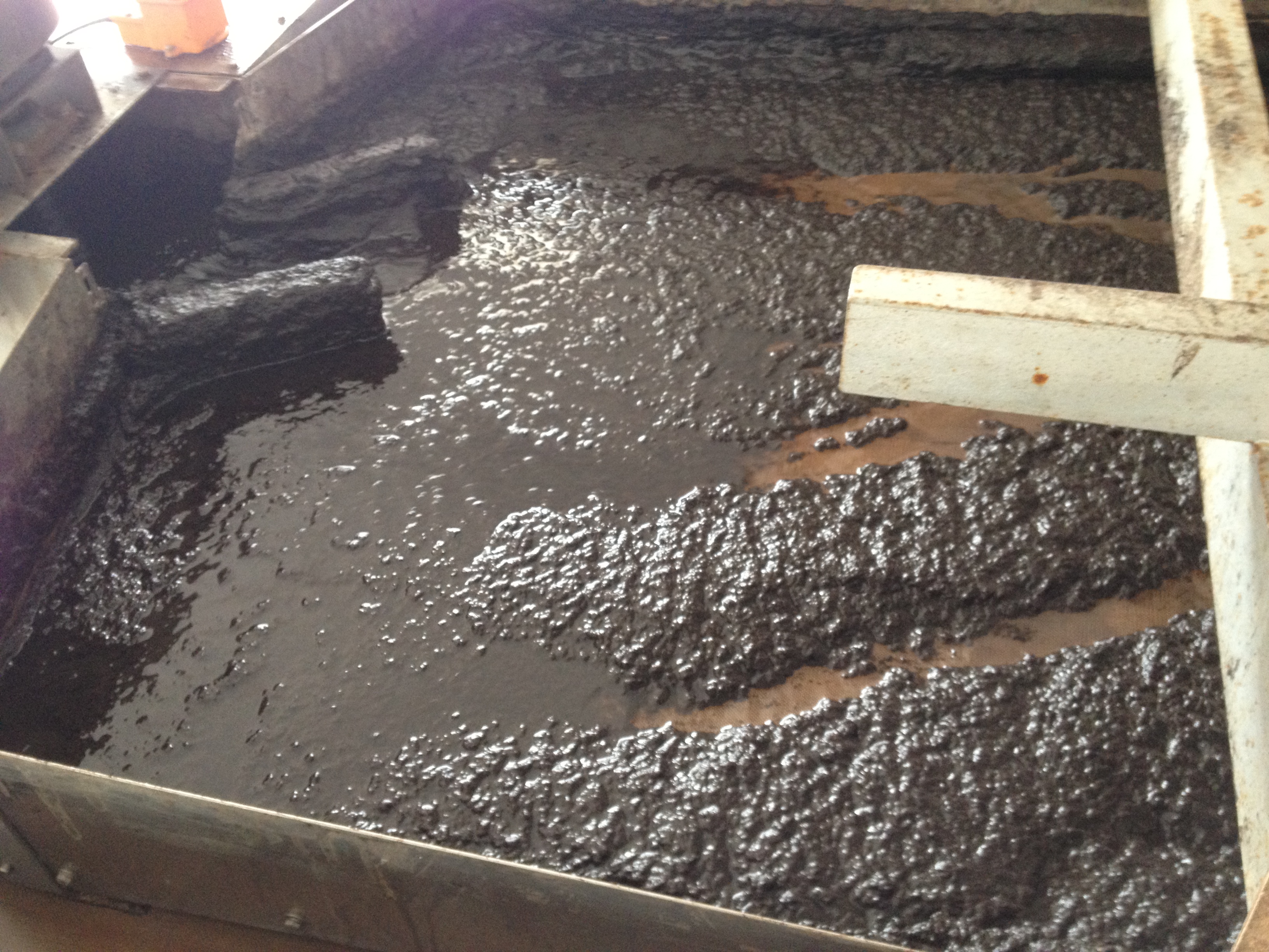 扬子江药业-混合