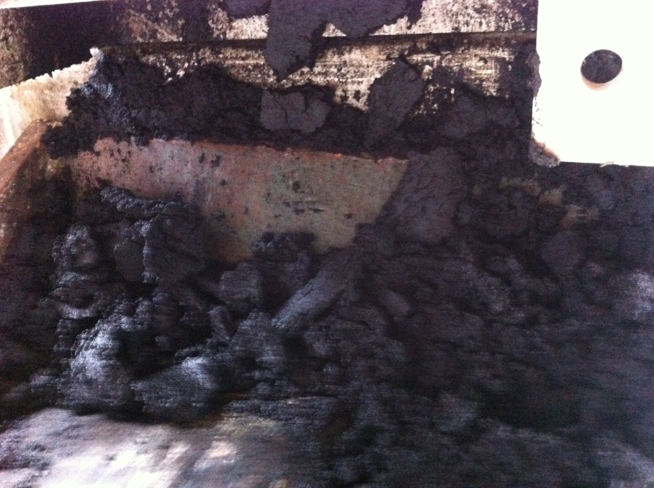 浙江大明食品长-屠宰厂-出泥2