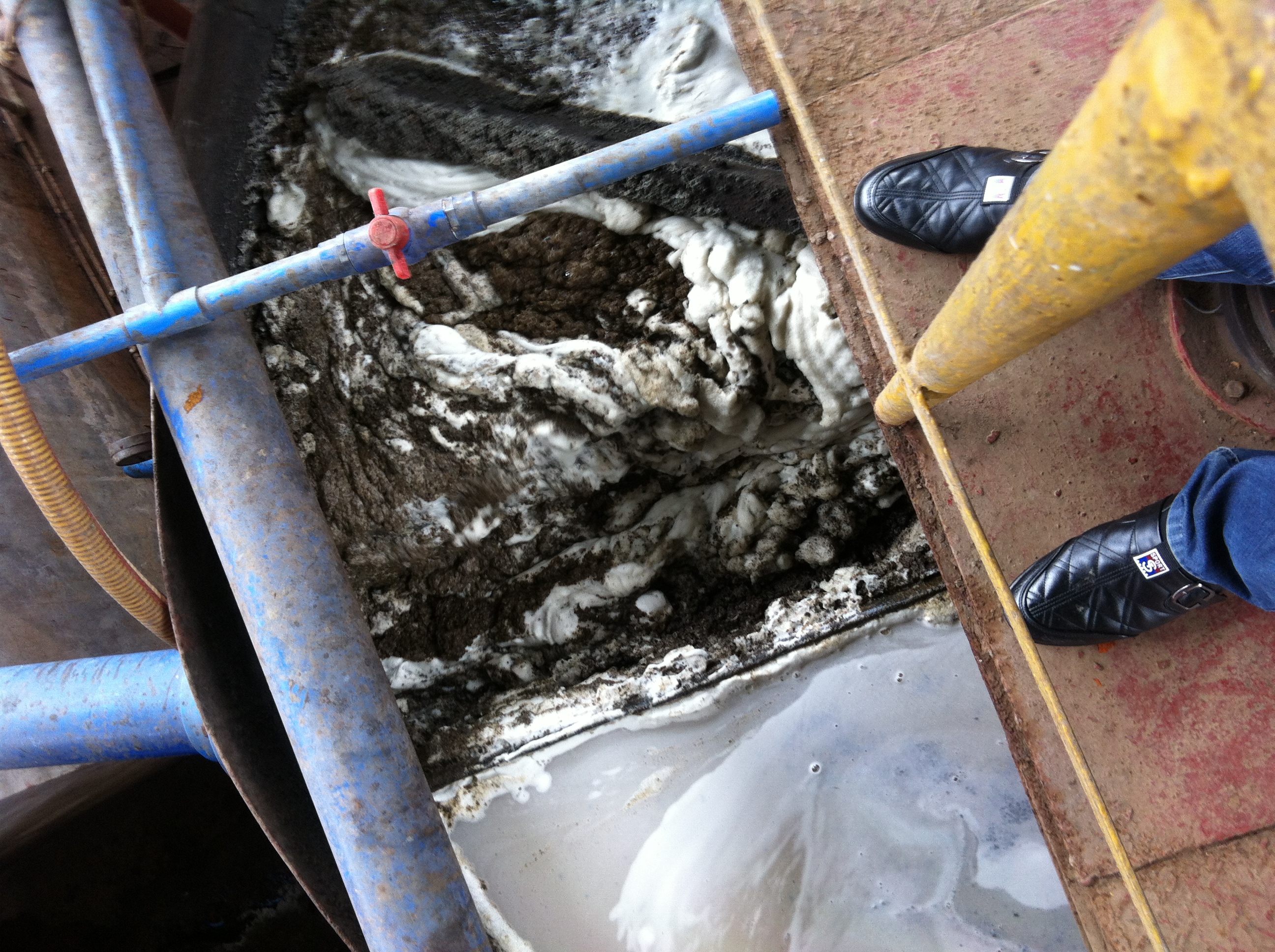 成都迪奥植化-图片9