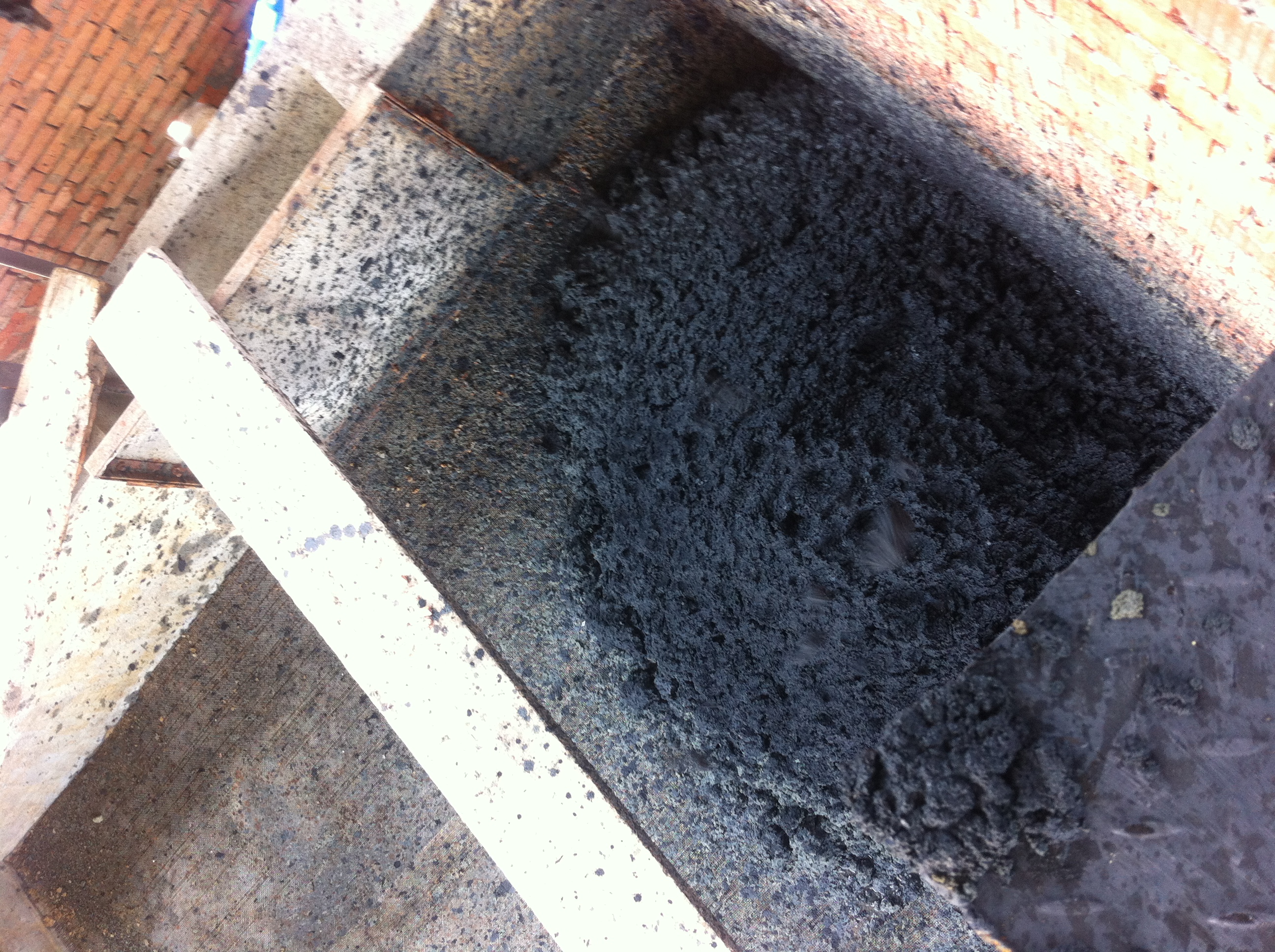 IMG_0047.40378A371DBC6F30D99AC62681513BA9