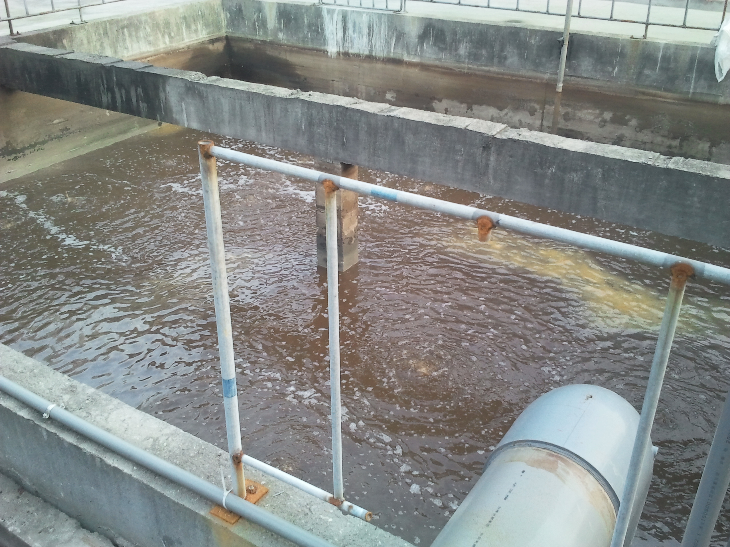 泰兴一鸣生物-污泥池2