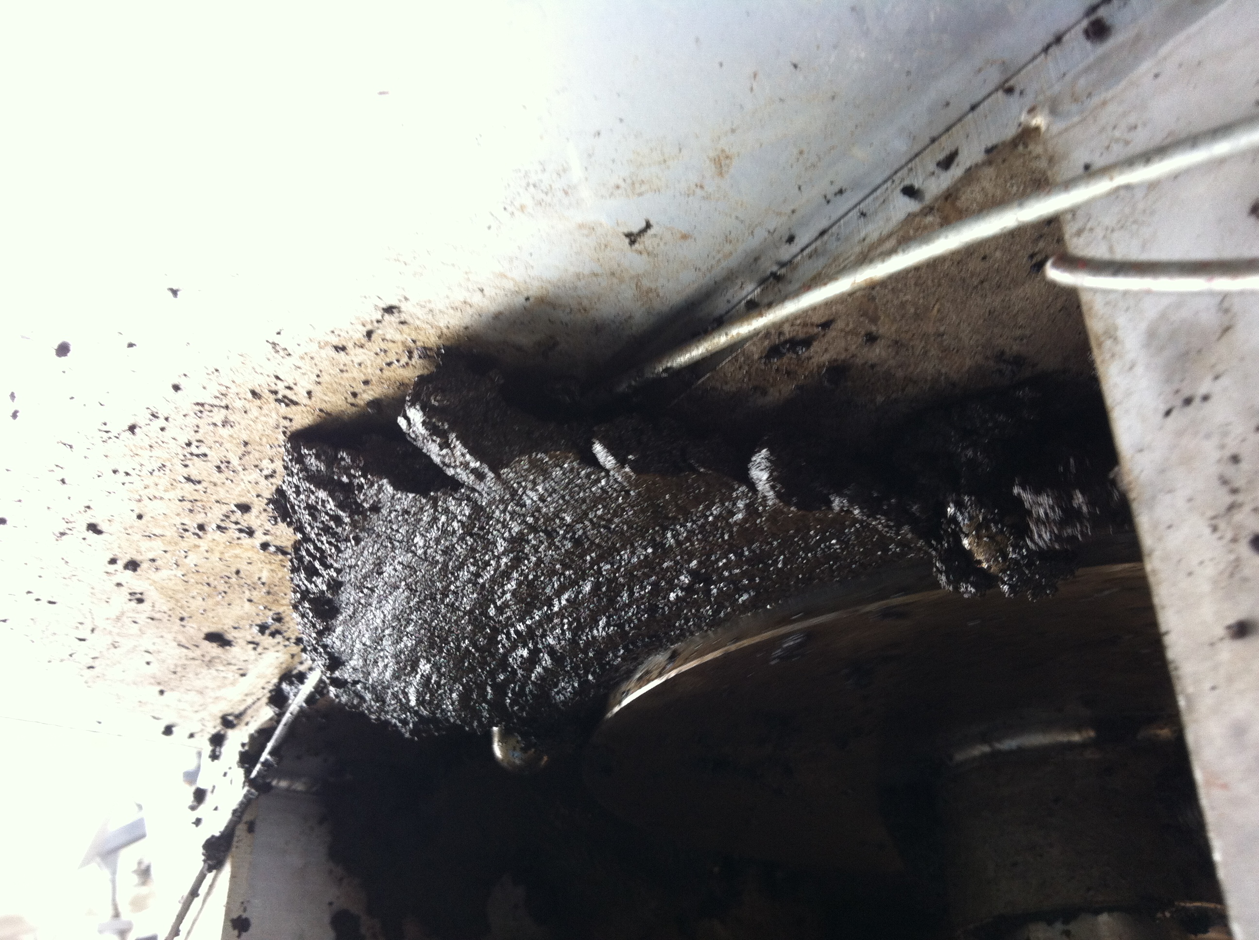 成都迪奥植化-出泥1