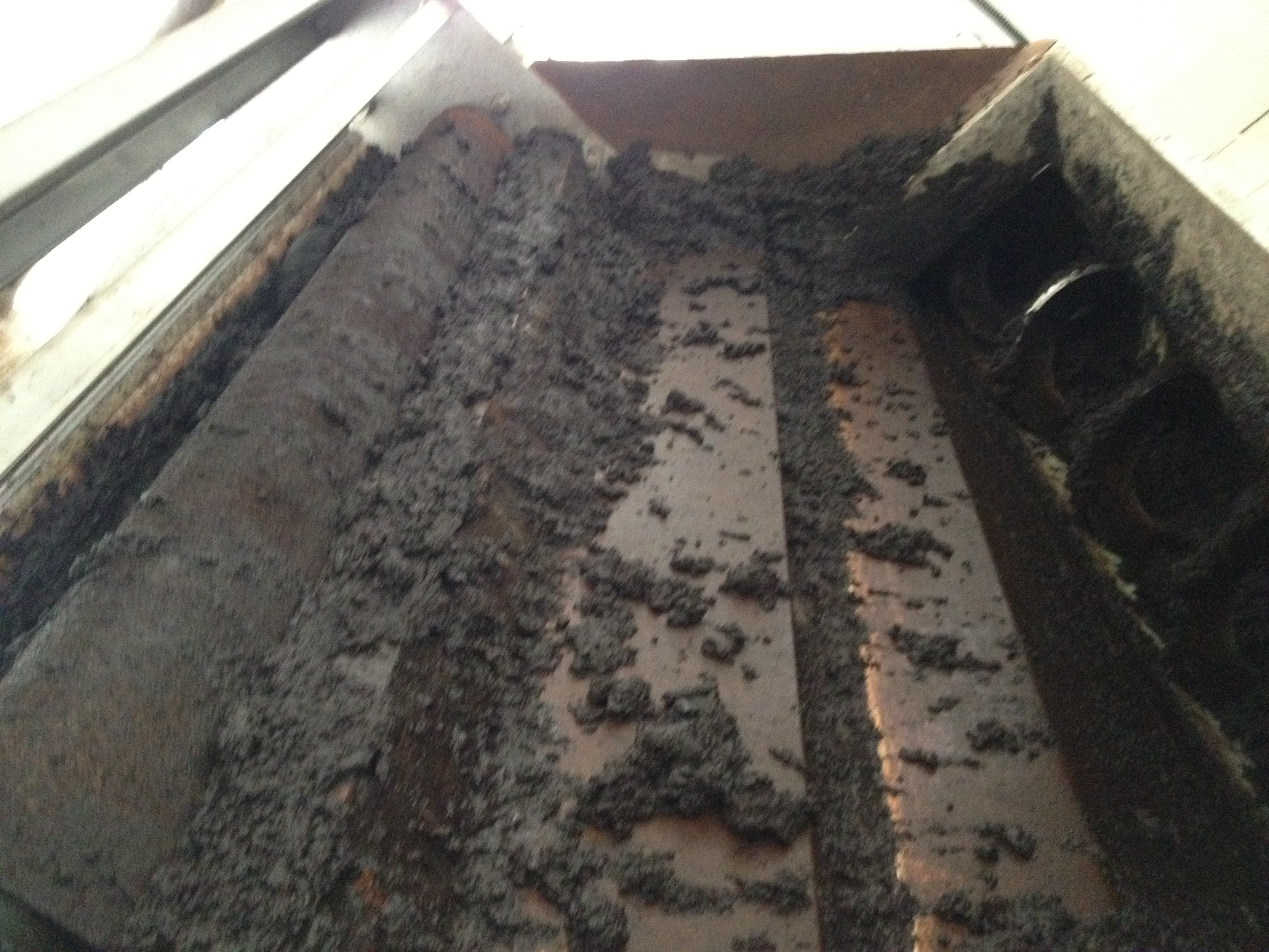 扬子江药业-出泥3