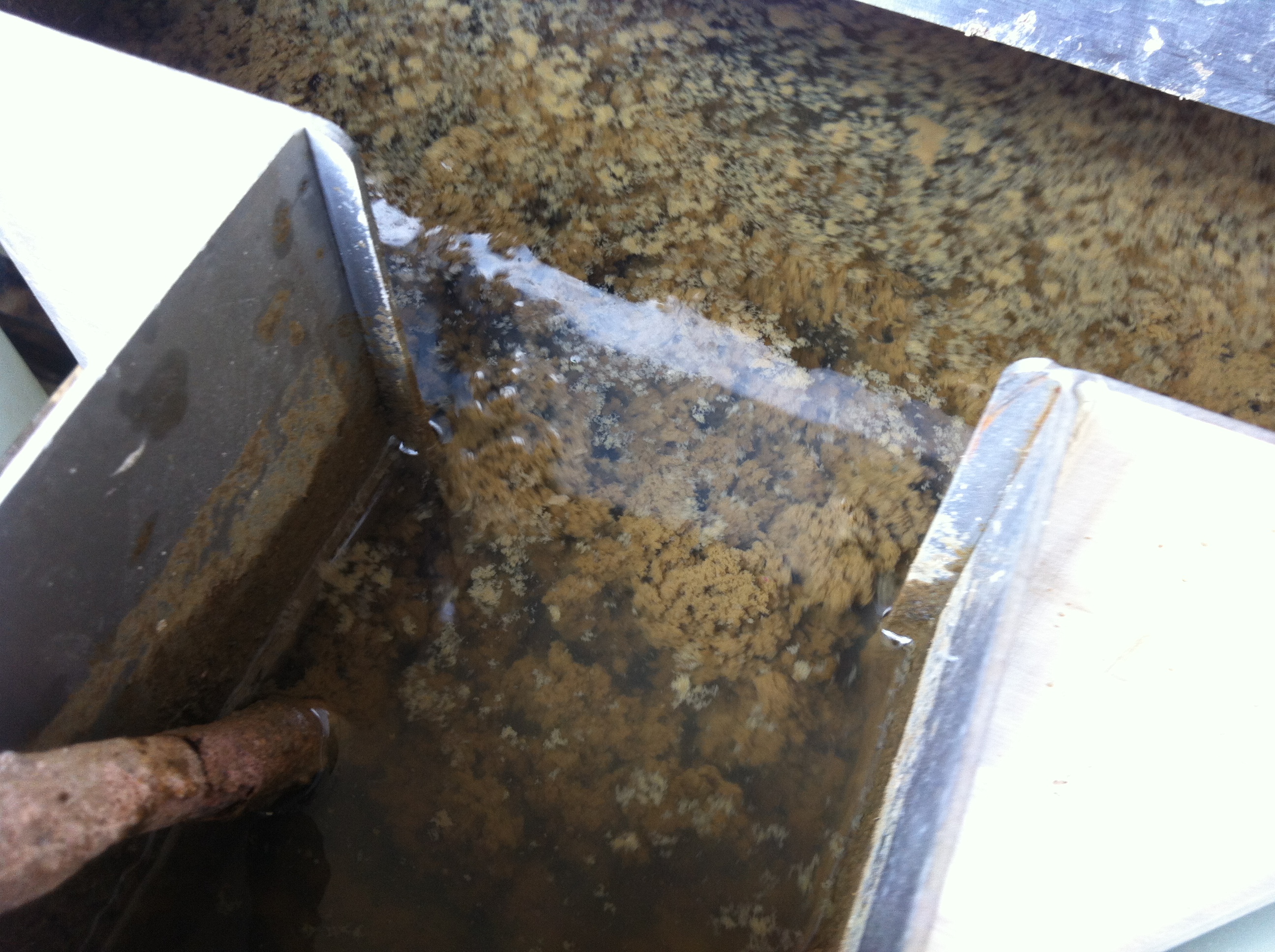 福建嘉诺-叠螺机絮凝混合槽1